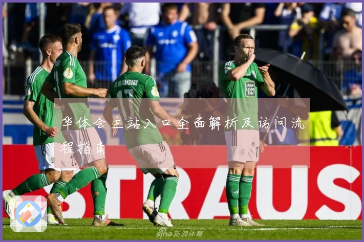 华体会主站入口全面解析及访问流程指南