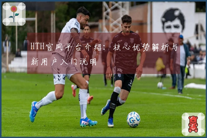 HTH官网平台介绍：核心优势解析与新用户入门说明